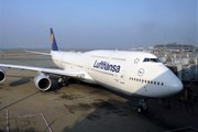 Lufthansa, SWISS, Austrian и Brussels Airlines ввели безбагажные тарифы из России в Северную Америку